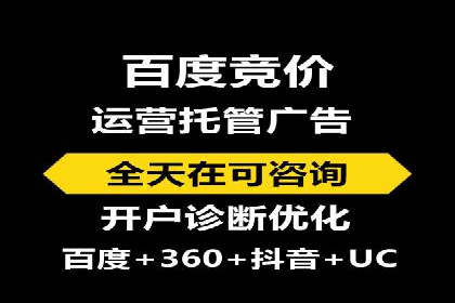 SEM推广公司成功案例：助力企业实现品牌多元化发展